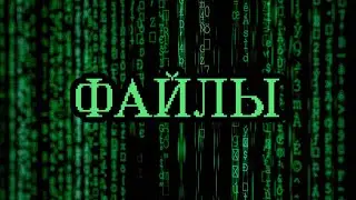 Как НЕ ПОТЕРЯТЬ Самые Важные Файлы на своём Компьютере? + Конкурс на 50$!