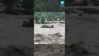 Viral Flash Flood Videos Capture Destruction In Himachal Pradesh