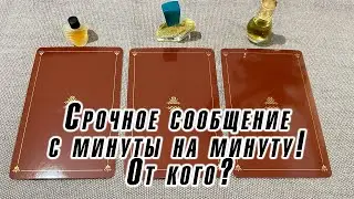 Срочное сообщение с минуты на минуту! От кого? Гадание на таро Карина Захарова