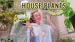 Repotting all of my house plants| My Tips!