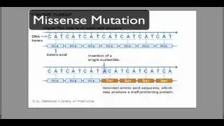 Gene Mutations