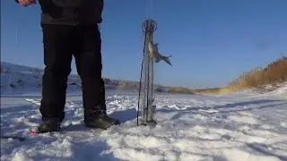 Хапуги рвались, рыба кишила, а мы были в восторге!