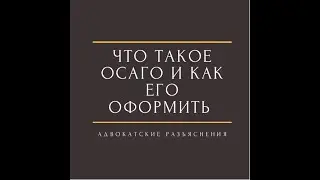 Что такое осаго/как оформить полис ОСАГО