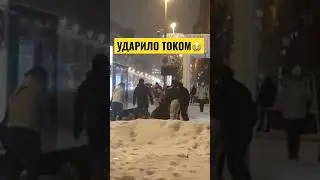 Двух лошадей ударило током от рекламного щита в центре Москве.