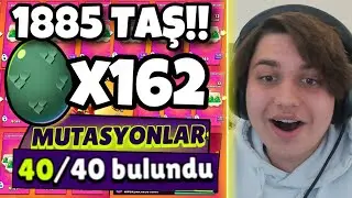 1885 TAŞ!! BÜTÜN YUMURTA TEKLİFLERİNİ SATIN ALDIM!! Brawl Stars