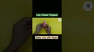 Make lilly With Paper | Lilly Flower Origami | 