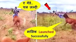 ये जानवर अपने बाप की भी नहीं सुनते |Latest Short Funny Animals Caught Part -162 Memes Best