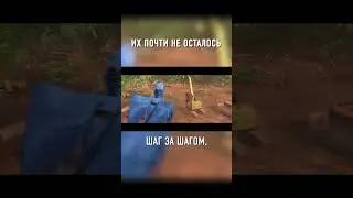 Это Самый РЕДКИЙ и КРАСИВЫЙ Попугай 