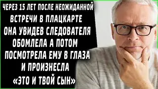 Через 15 лет после неожиданной встречи в поезде, она грустно смотрела в глаза следователю