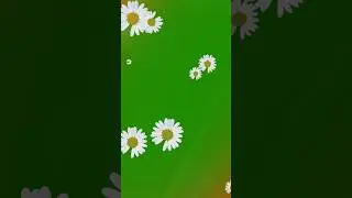 Flower flying green screen shorts | Green screen flower short video