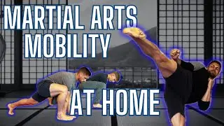 Martial arts mobility exercises at home