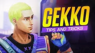 GEKKO GUIDE.... BUT Its ACTUALLY USEFUL! (no bakwas)