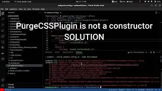 purgecssplugin is not a constructor fixed