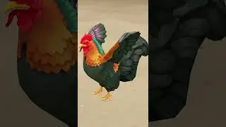 SSO - [SPOILER] - Rooster and THE Crab (You can also have them!)