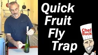 Get Rid of Fruit Flies Fast - Easy Fruit Fly Trap