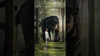 jungle Book Creative Photo editing tutorial / #picsart #photography #youtubeshorts