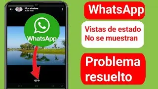 Problema de visualización de las vistas de estado de WhatsApp | Cómo solucionar el problema de