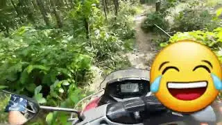 Moto Vlog In Jungle 🌳🌴