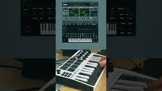 How To Stutter House Drop 🔥