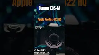 Canon EOS-M Magic Lantern export Codec