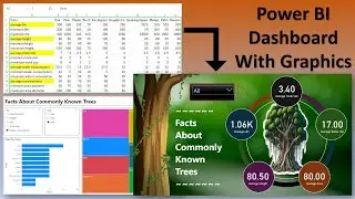 Make Your Data Grow: Tree Stats with Power BI