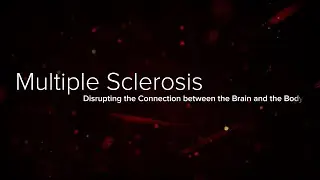 How Multiple Sclerosis Affects The Body - Yale Medicine Explains