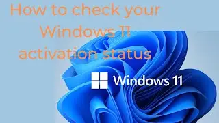 How to check your windows 11 activation status