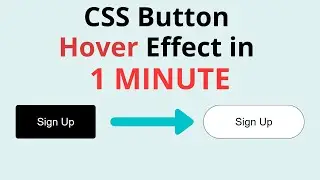 CSS Button Hover Effects in 1 Minute | HTML CSS