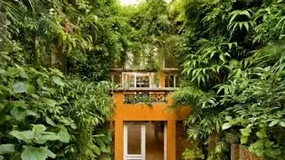 French Botanist’s Paris Home Is a Regular Urban Jungle: Patrick Blanc