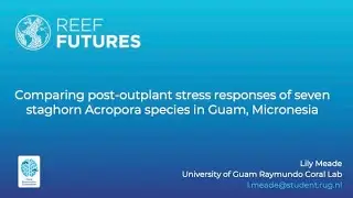 Comparing post-outplant stress responses of seven staghorn Acropora species in Guam, Micronesia