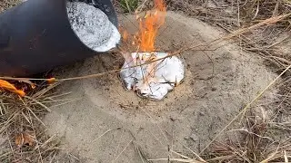 Big Harvester Ant Colony Casted With Molten Aluminum (Anthill Art) #3