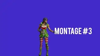 Montage #3