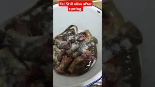 after Cutting the eel still moving