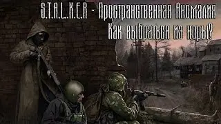 Пространственная Аномалия - Выход из норы