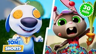 TOP Season 2 Moments! 🎉 Talking Tom Shorts Compilation