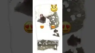 Meow👑🫀😍💋💍🐱 #тренды #cats #cutecats #funny cats videos #врекомендации #edits
