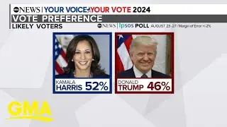 What new polling numbers show for Harris, Trump