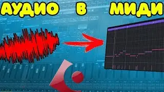 Как АУДИО превратить МИДИ в Cubase 10 PRO