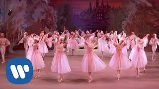 The Nutcracker HD - Valery Gergiev / Mariinsky Ballet & Orchestra