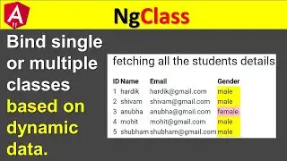 Bind Single OR Multiple CSS Classes Based On Dynamic Data | [ngClass] | Angular11/10/9/8 | Anubha ✌