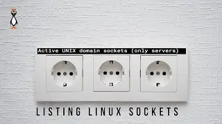 Understanding Linux Sockets and the LDAPI Interface