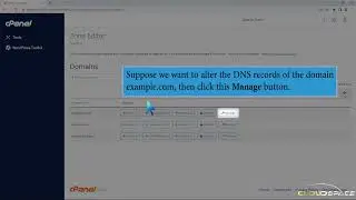 How to edit or delete a Record in cPanel using the DNS Zone Editor with CloudSpace