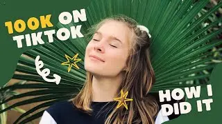 How to Grow 100K Followers on TikTok in 2023 | Artist Art Channel Fast Growth TikTok Natural Paint