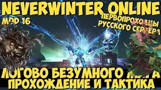 Логово Безумного Мага (Прохождение и Тактика) | Neverwinter Online | Mod 16