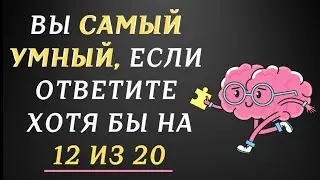 ВЫ САМЫЙ УМНЫЙ?  ТЕСТ на ЭРУДИЦИЮ и КРУГОЗОР.