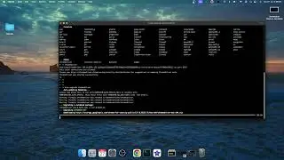 Update selenium chromedriver latest version | home brew Mac OS | The TechFlow