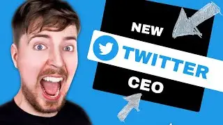 MrBeast wants Elon's Twitter CEO job