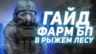 САМОЕ ЛУЧШЕЕ МЕСТО ДЛЯ ФАРМА БП! 10 ЛВЛОВ В ЧАС В РЫЖЕМ ЛЕСУ! STALCRAFT / СТАЛКРАФТ