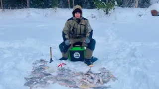 Язь, Окунь и Сорога, размером с Язя, удачная рыбалка в середине января. Зимняя рыбалка 2024. Часть 2