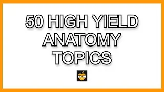 50 High Yield Anatomy Concepts